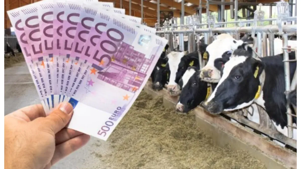 Reguli noi pentru accesarea subvenţiilor APIA. Ce trebuie să ştie fermierii. Documentul a fost publicat în Monitorul Oficial