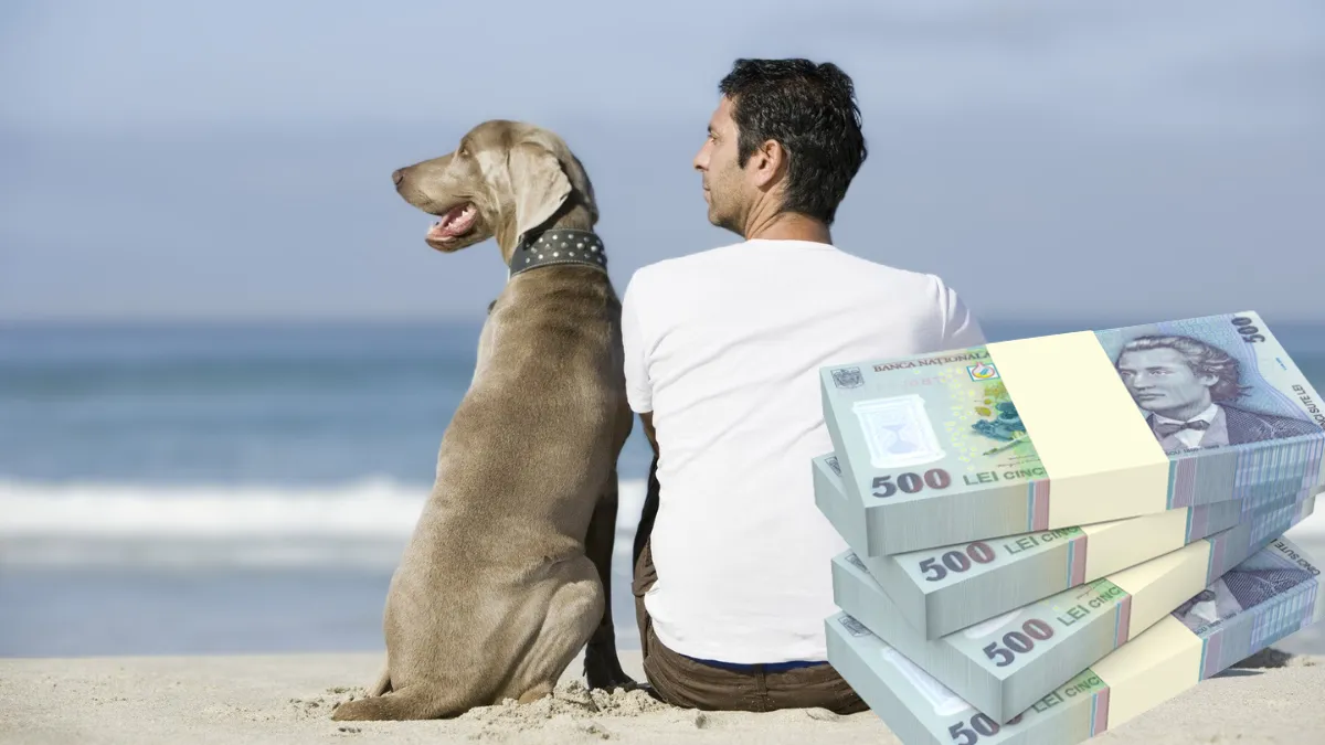 Amenzi de până la 10.000 lei pentru românii care nu respectă aceste reguli! Ce se întâmplă cu animalele de companie în vacanță