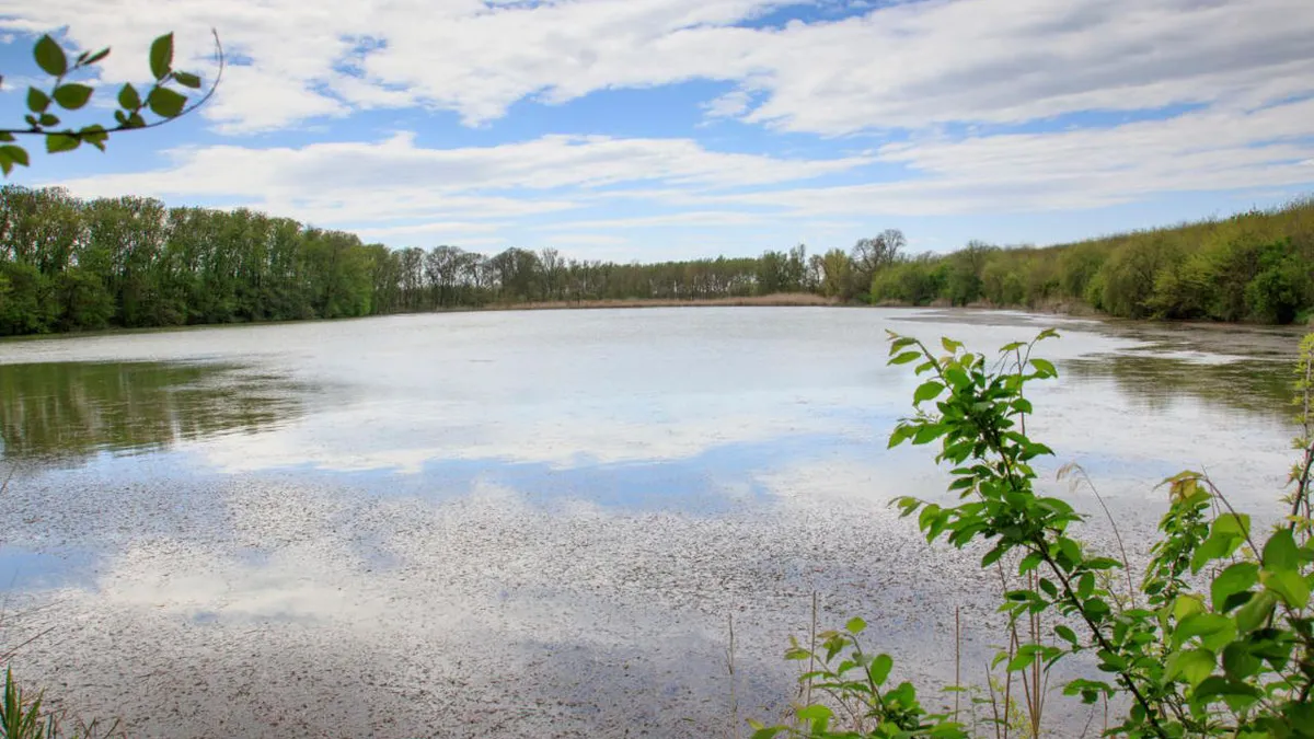 Locul din România care seamănă cu litoralul. Turiștii se înghesuie să-l viziteze. Prețurile sunt mult mai mici