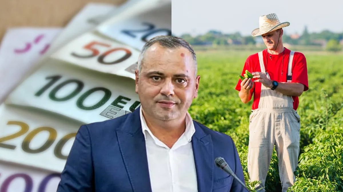 Decizia Comisiei Europene privind cerealele din Ucraina și impactul asupra fermierilor români