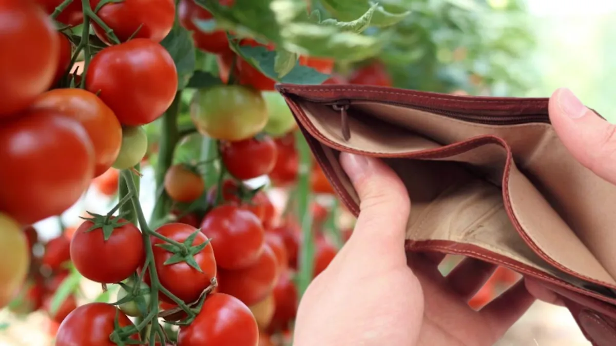 Programul Tomata nu dă rezultate. Fermierii se plâng că piața de legume din România este în dezechilibru. „Nu ne imaginam că putem avea asemenea pierderi”