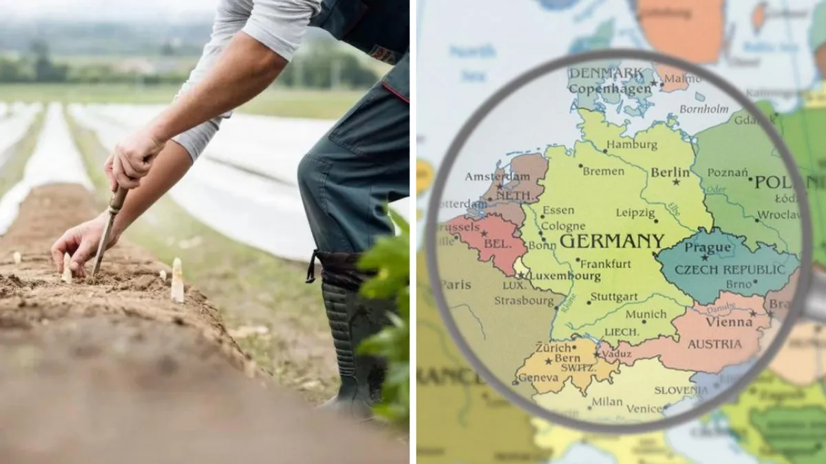 Noi discuții privind muncitorii sezonieri români din străinătate. Ministrul Muncii s-a întâlnit cu ambasadorul Germaniei. Care sunt concluziile