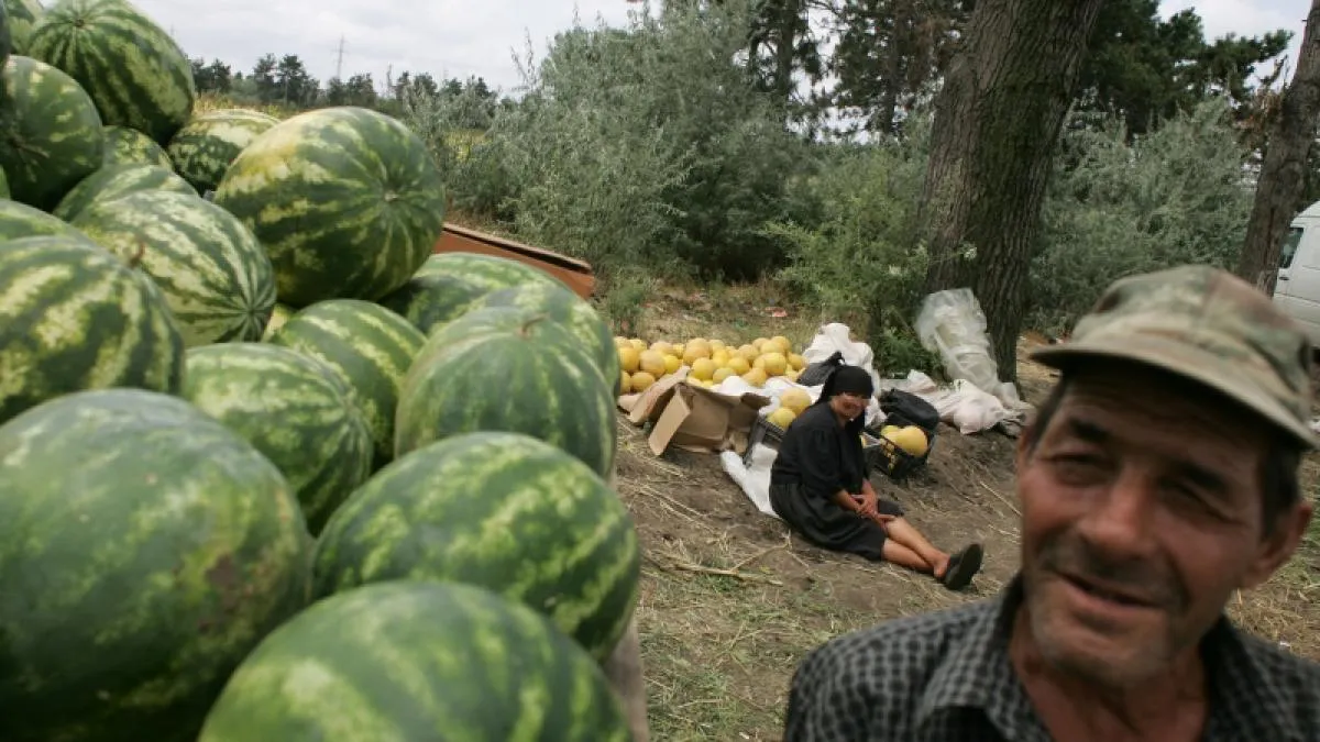 Ce se întâmplă cu pepenii de Dăbuleni. Fermierii din zonă au aruncat bomba cu privire la ultima recoltă