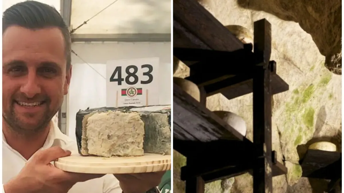 Brânza albastră Cabrales, înscrisă în Cartea Recordurilor. Cu cât s-a vândut cea mai scumpă brânză din lume