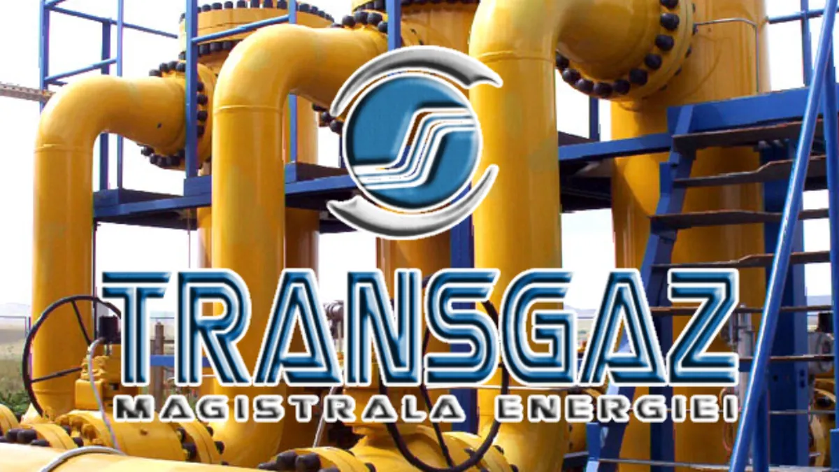 Prețurile la gazele naturale și energie vor rămâne plafonate: „Până în 2025, o plasă de siguranță, aș putea spune”