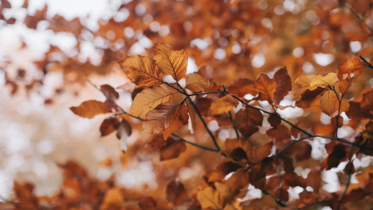 Prognoza meteo 25 septembrie. Val de frig în România. Temperaturile scad chiar și cu 15 grade