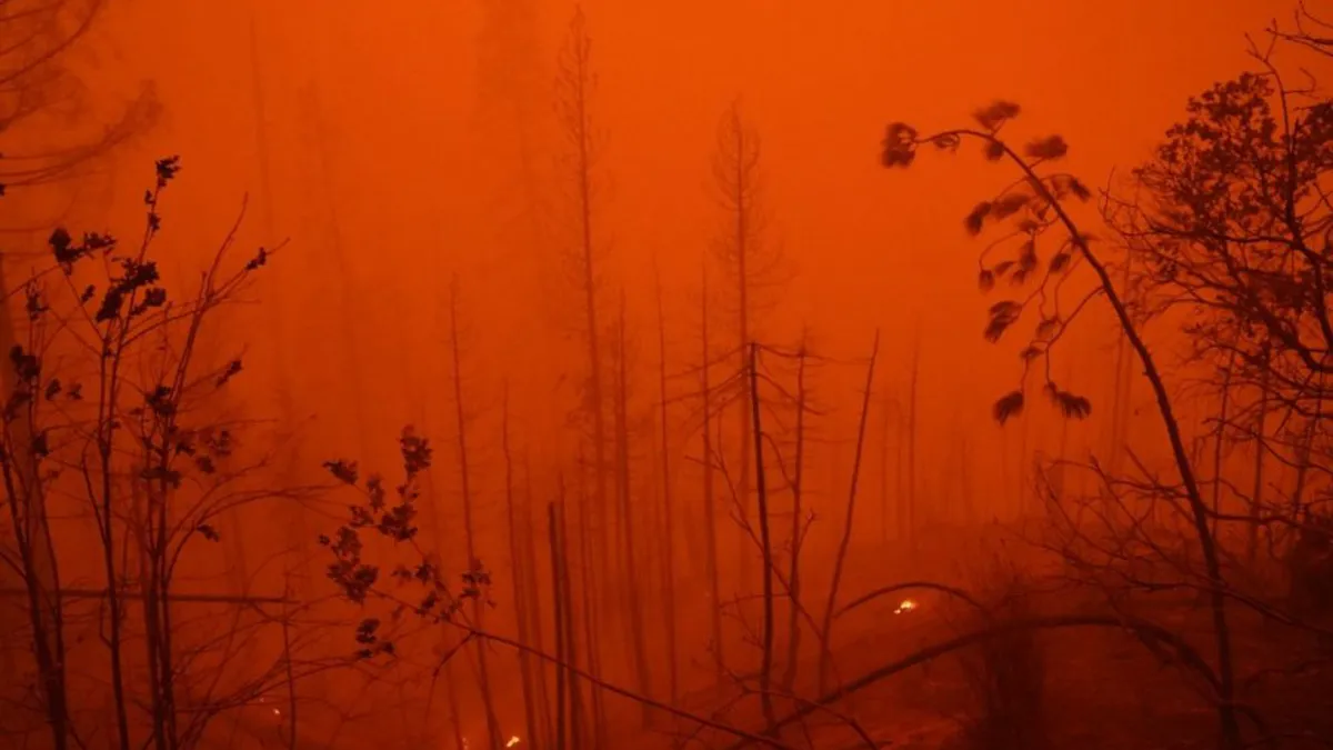 STUDIU: Formarea unui super-continent ar urma să ducă la distrugerea omenirii și la dispariția tuturor mamiferelor