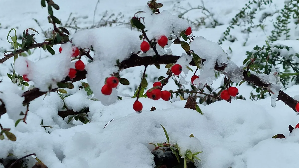 Meteorologii anunță când vine iarna în România. Prognoza ANM 16 octombrie - 13 noiembrie