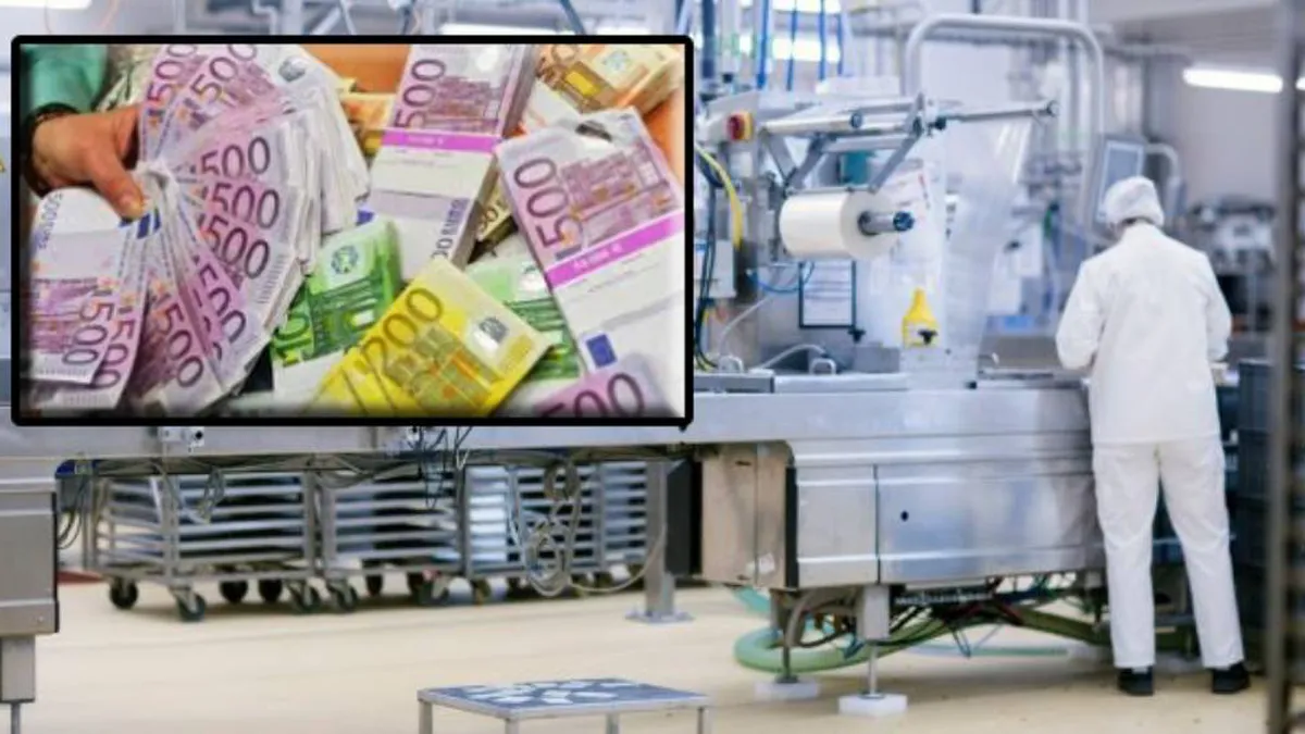 Vești bune pentru procesatorii de alimente. Ce trebuie să faci pentru a accesa ajutor nerambursabil în valoare de 57 de milioane de euro