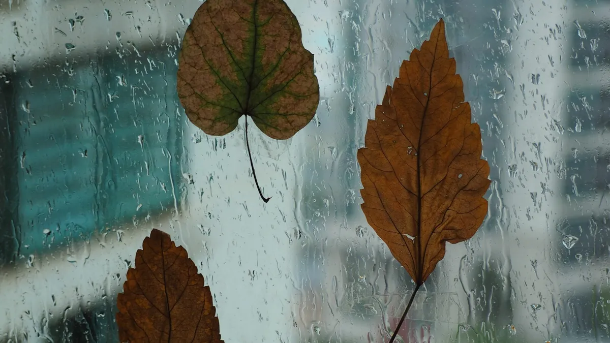 Prognoza meteo pe 4 săptămâni a fost actualizată. ANM anunță când vin ploile