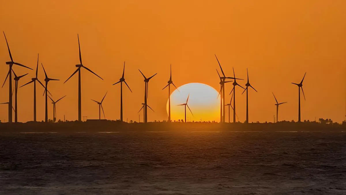 Prețuri negative la energie! Eolienele din Dobrogea, cele mai mari forțe din sistemul de producție!