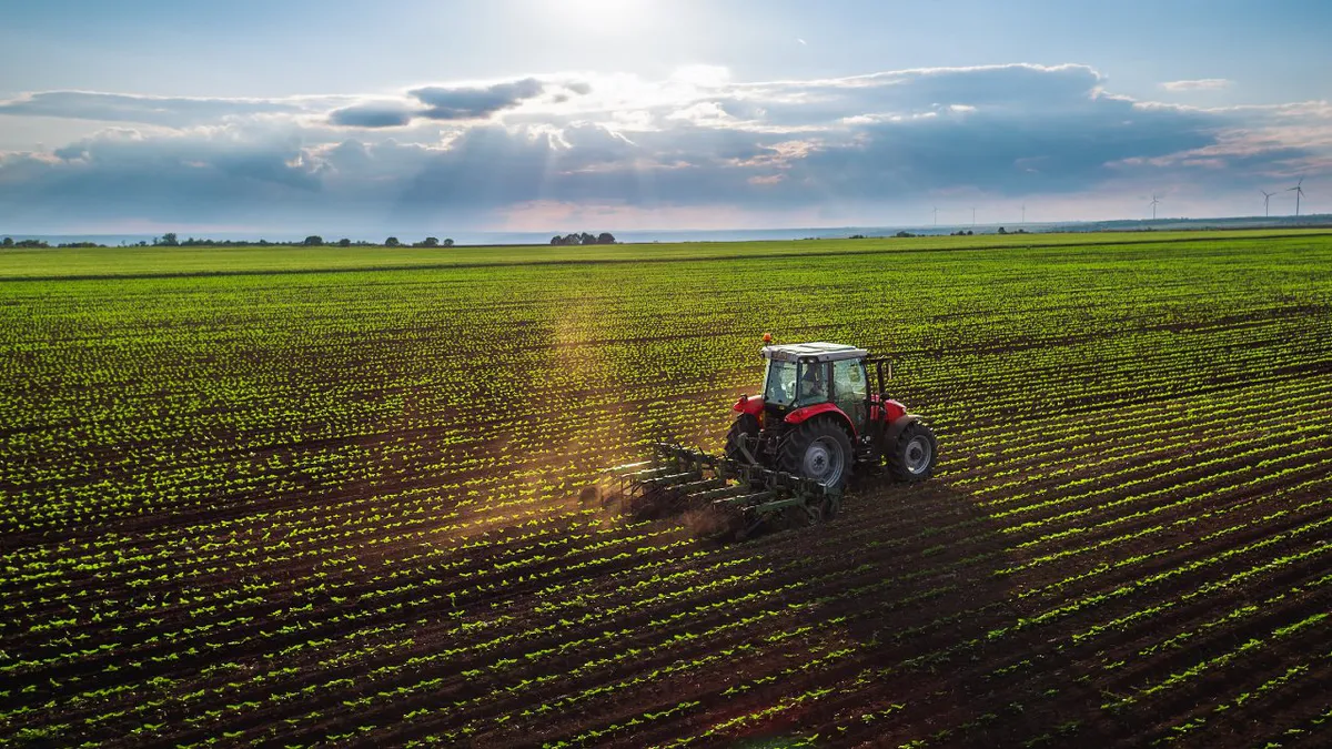 România, printre principalii producători de cereale ai Uniunii Europene. Unde se clasează țara noastră în agricultura din UE