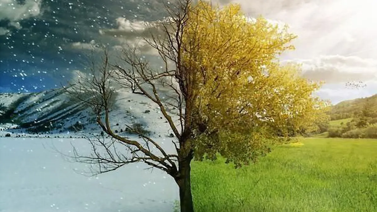Luna noiembrie aduce două anotimpuri în România. ANM anunță când vin ninsorile
