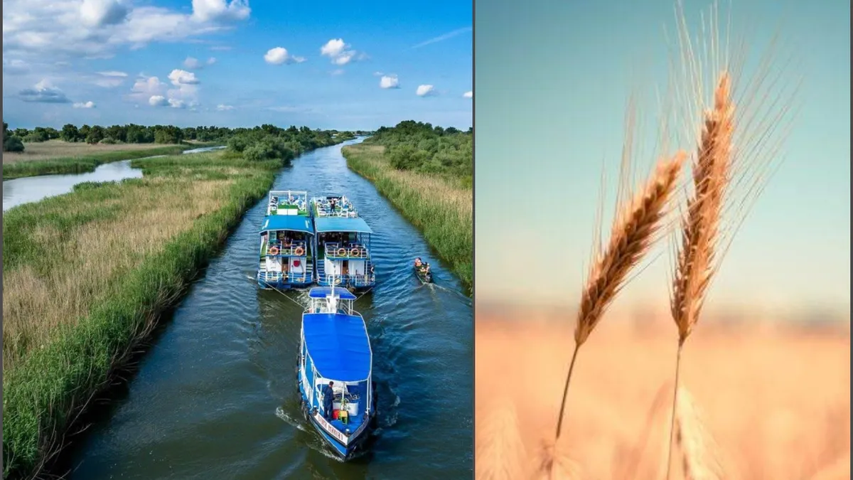 Proiectul PRIMUS, care va asigura navigabilitatea pe Braţul Sulina, va creşte tranzitul de cereale spre 4 milioane de tone/lună. Ministrul Transporturilor a făcut anunțul