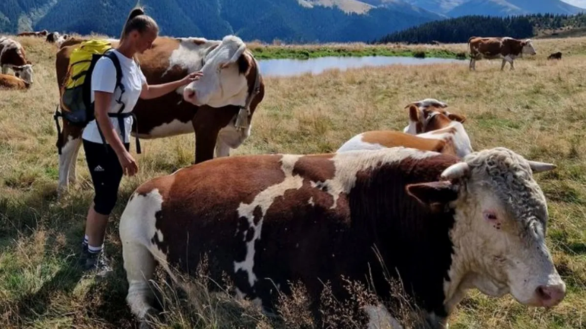 După 7 ani de Germania, o româncă a dat lovitura cu o afacere în Sibiu: E foarte greu… Rezist fiindcă îmi place, dar nu m-aş vedea făcând altceva