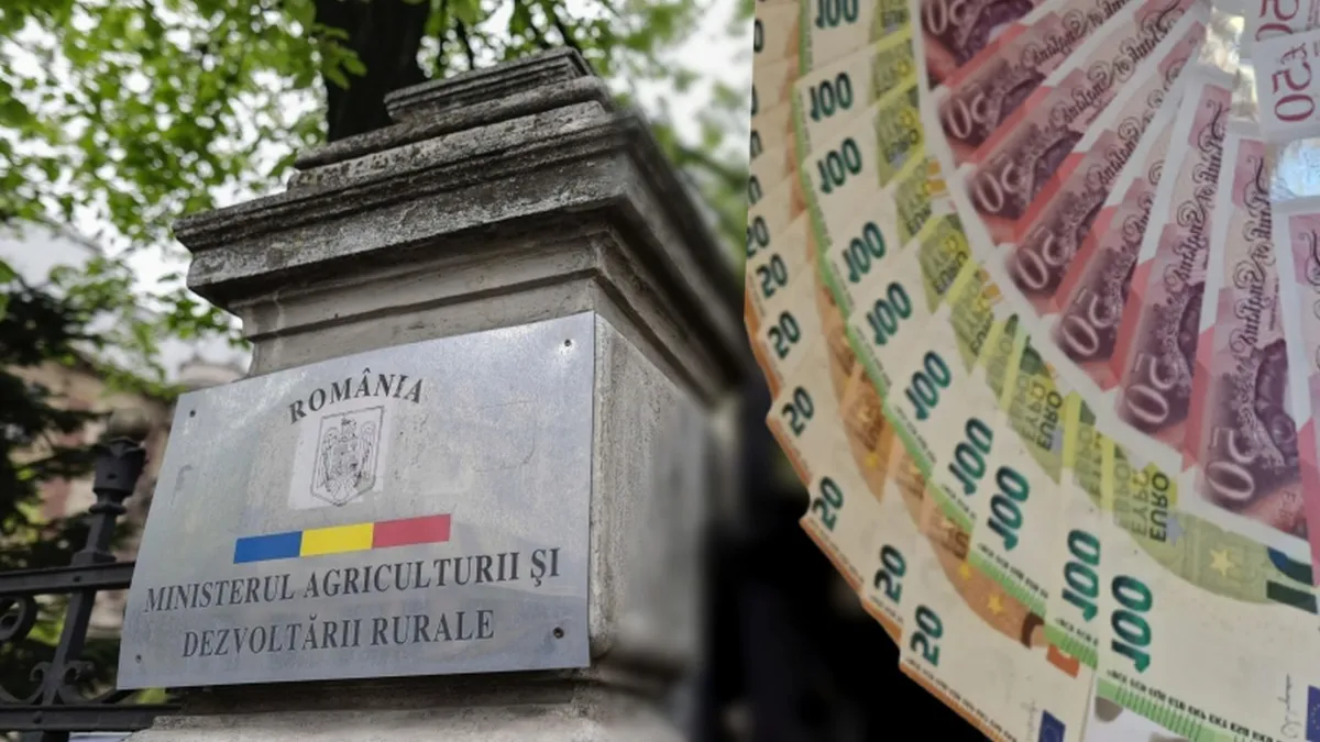 Comisia Europeană a aprobat o nouă schemă de ajutor pentru români. Banii ajung la MADR