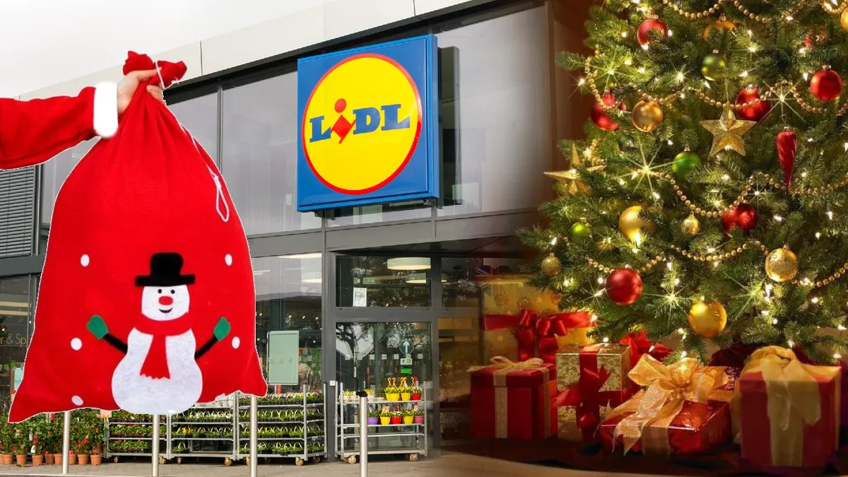 Va fi bătaie pe jucăriile de Crăciun de la Lidl, în 2023. Părinții caută aceste produse în special în luna decembrie