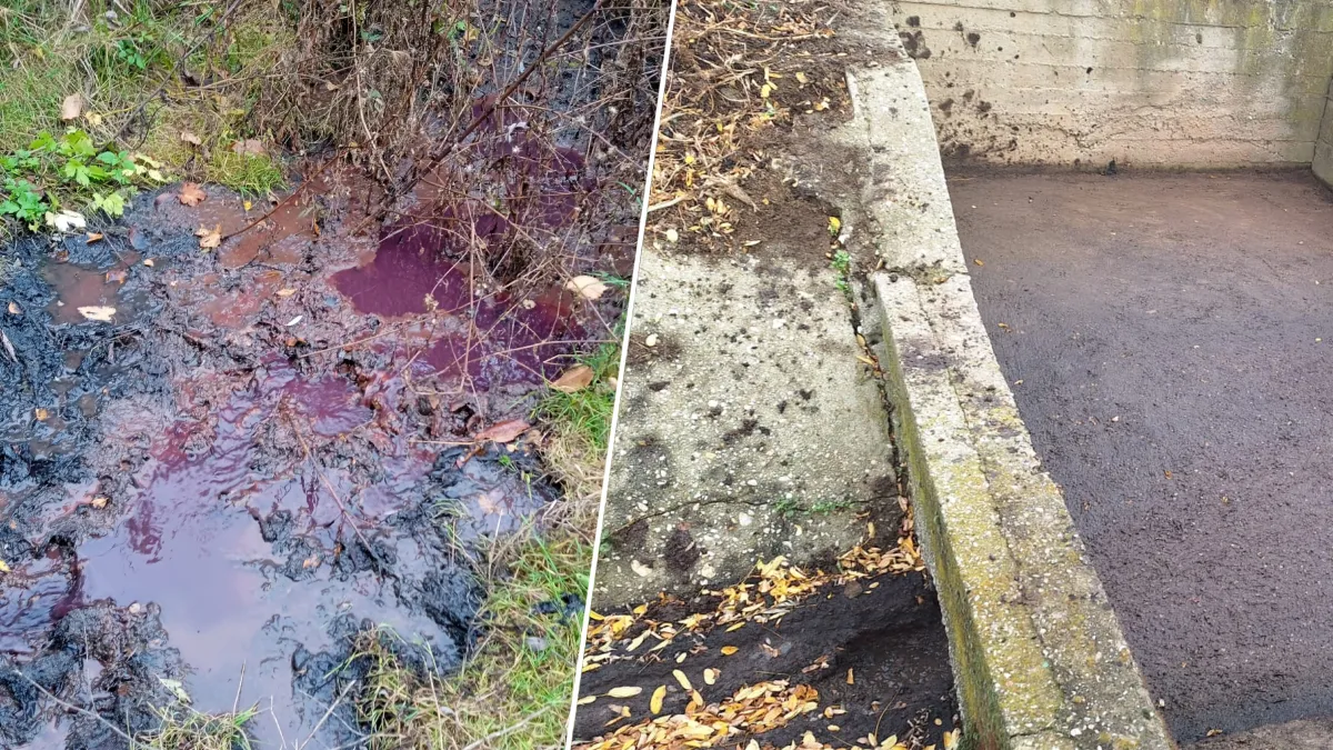 Poluare cu pălincă de Bihor. Pălincarii din județ s-au ales cu amenzi uriașe de la Garda de Mediu