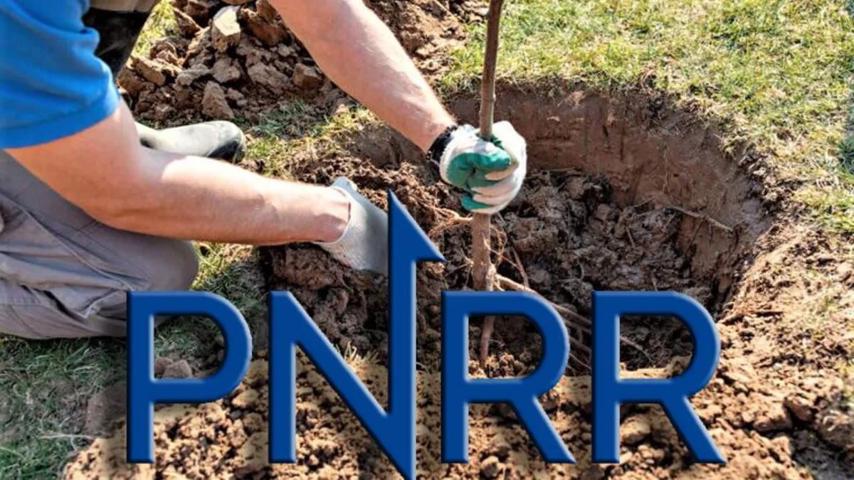 O mare categorie de români poate primi până la 500 de euro pentru 20 de ani! Află dacă faci parte din acea categorie!