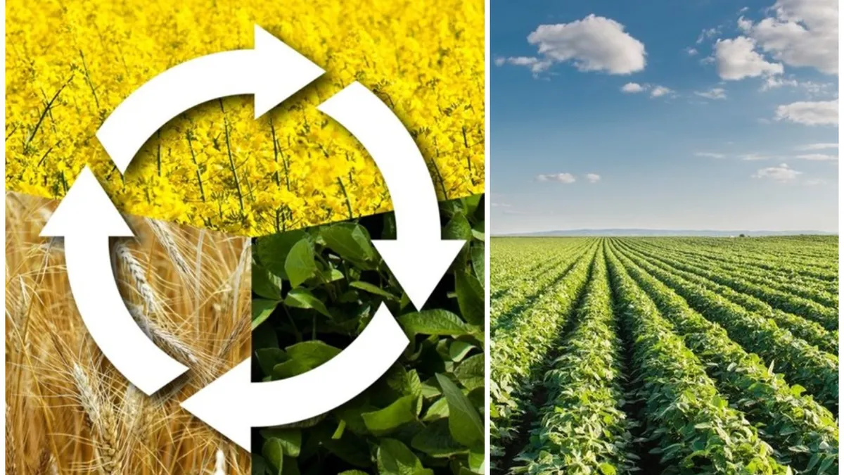 Fermierii români se confruntă cu mari dificultăți. Ministrul Agriculturii a cerut Comisiei Europene prelungirea derogărilor privind rotația culturilor și lăsarea a 4% din teren nelucrat