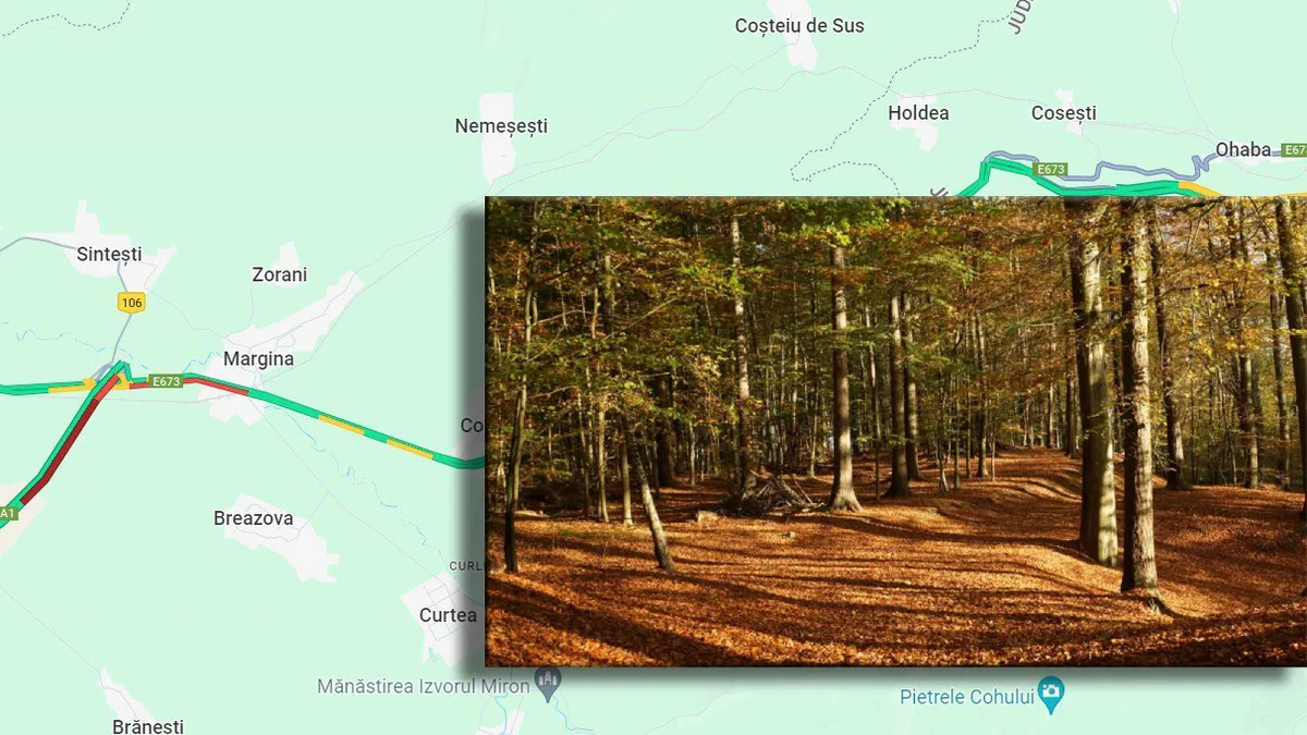 Ministerul Mediului a aprobat ultima etapă pentru defrișări pe lotul cu tuneluri de pe Autostrada A1 Lugoj-Deva. UMB așteaptă autorizația pentru începerea lucrărilor