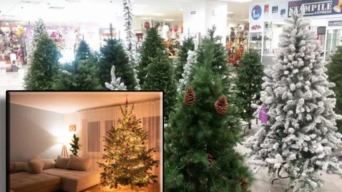 Bradul natural de Crăciun, cea mai optimă opțiune pentru români! Ce trucuri pot folosi pentru a-l menține verde câteva săptămâni la rând?