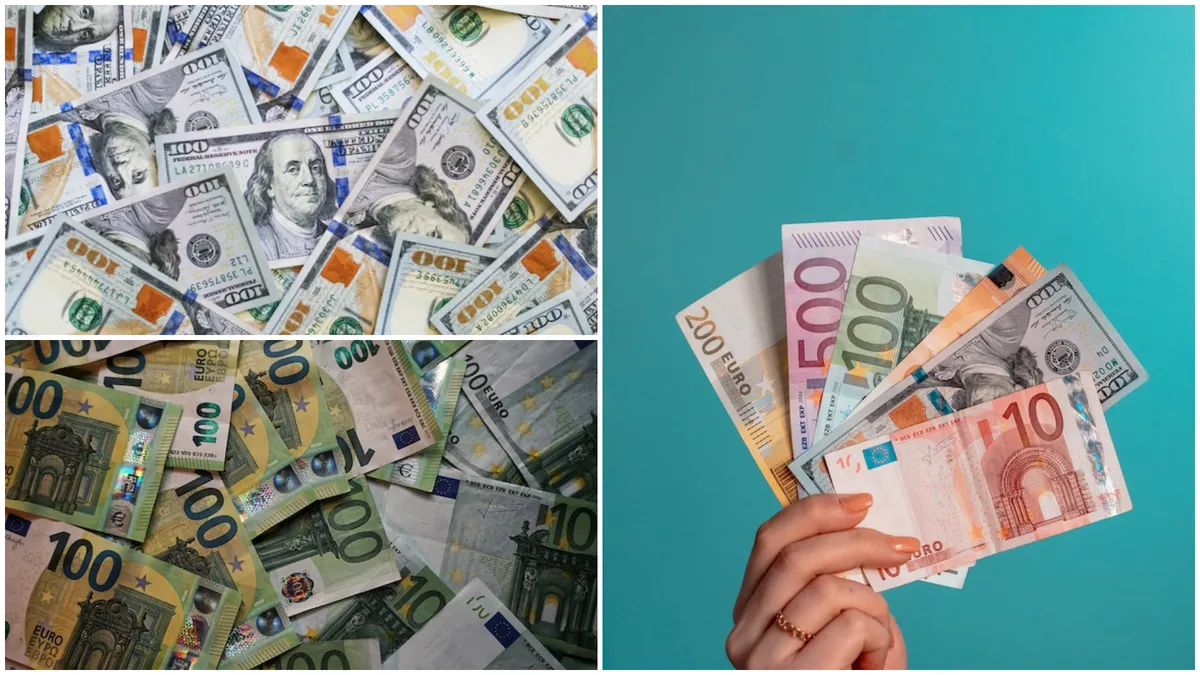 Curs valutar BNR, miercuri, 17 ianuarie 2024. Euro și dolarul se apreciază în fața leului, gramul de aur pierde din teren