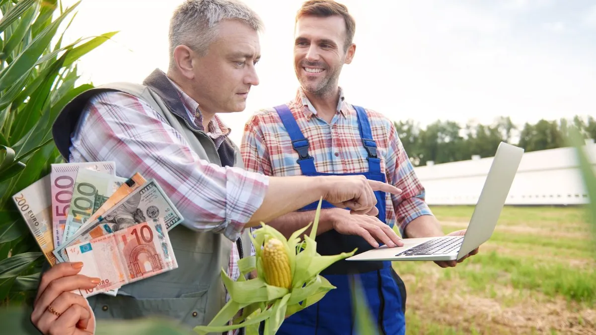 AFIR anunță că România a atras 86% din banii alocați prin Fondul European Agricol pentru Dezvoltare Rurală. Câte programe europene mai sunt active
