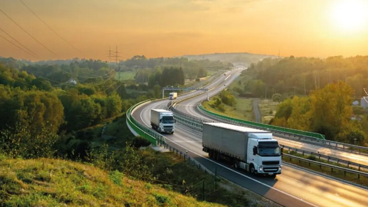 Sistemul RO e-Transport creează haos pe șosele. Amenzi uriașe și confiscarea mărfurilor, o garanție pentru falimentul transportatorilor