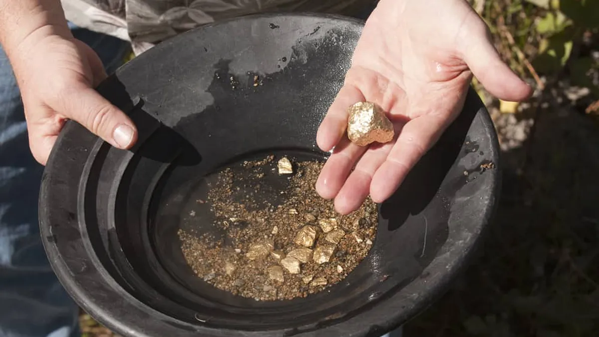 O nouă goană după aur în SUA. Care sunt zonele unde ai cele mai mari şanse să găseşti pepite preţioase