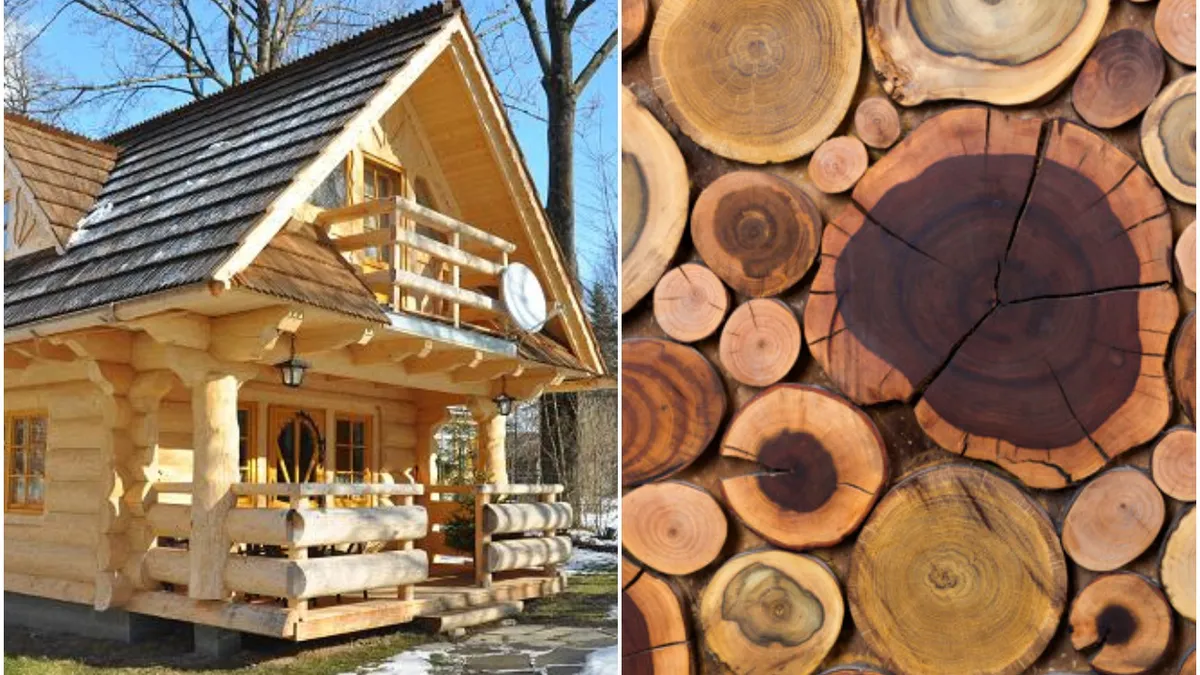 Lemnul, resursa regenerabilă a viitorului. Casele nu vor mai fi construite din beton şi oţel