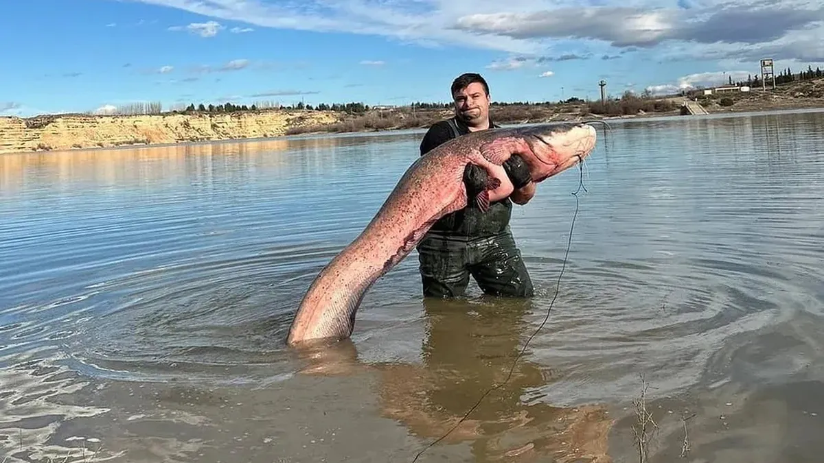 Un sibian pasionat de pescuit se laudă cu capturi record de crap și somn în Spania și Austria
