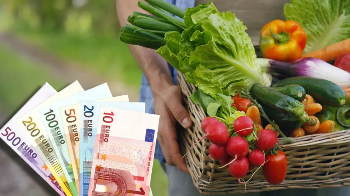 A fost deblocată autorizarea la plată a ANT-urilor aferente sectorului vegetal pentru anul de cerere 2023. Anunțul oficial al Ministerului Agriculturii