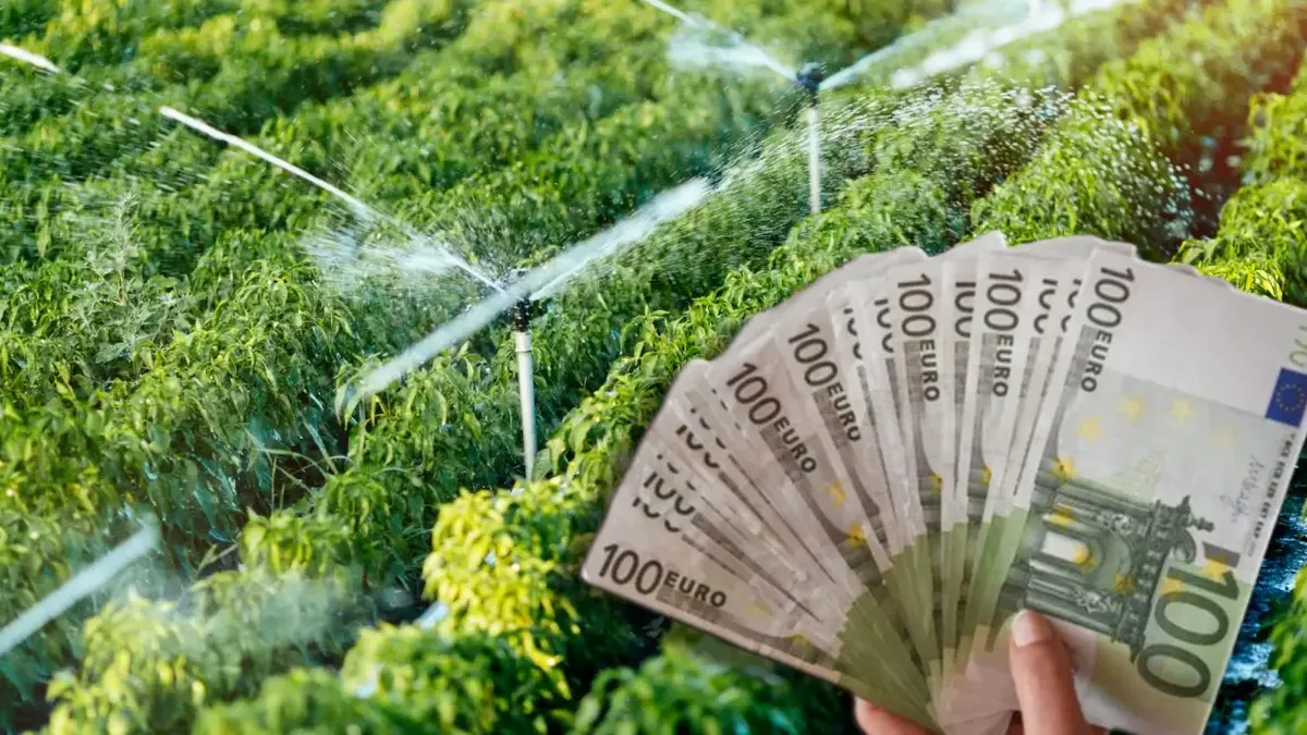 AFIR anunță o finanțare de 1,5 milioane de euro pentru modernizarea sistemelor de irigații. Ce condiții trebuie să îndeplinească beneficiarii