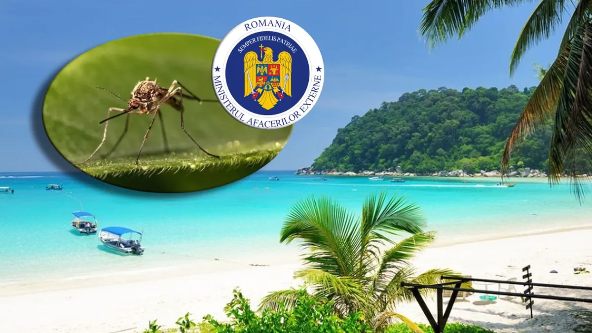MAE a emis o nouă atenţionare de călătorie! Recomandări pentru românii care călătoresc în țări cu risc ridicat de malarie