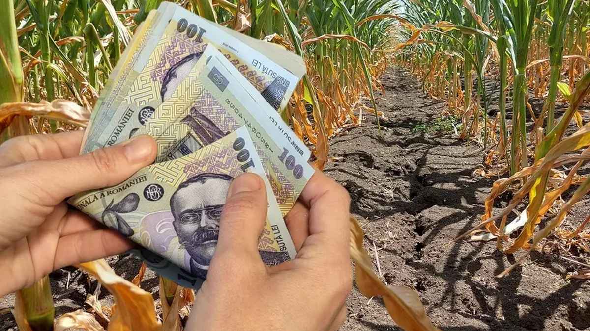 Care fermieri vor primi noua subvenţie de 360 euro pe hectar. Sprijin pentru sectorul zootehnic de la MADR