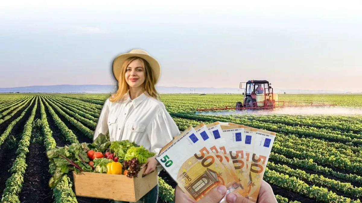 Finanțare de până la 50.000 de euro pentru fermieri. Care sunt noile programe