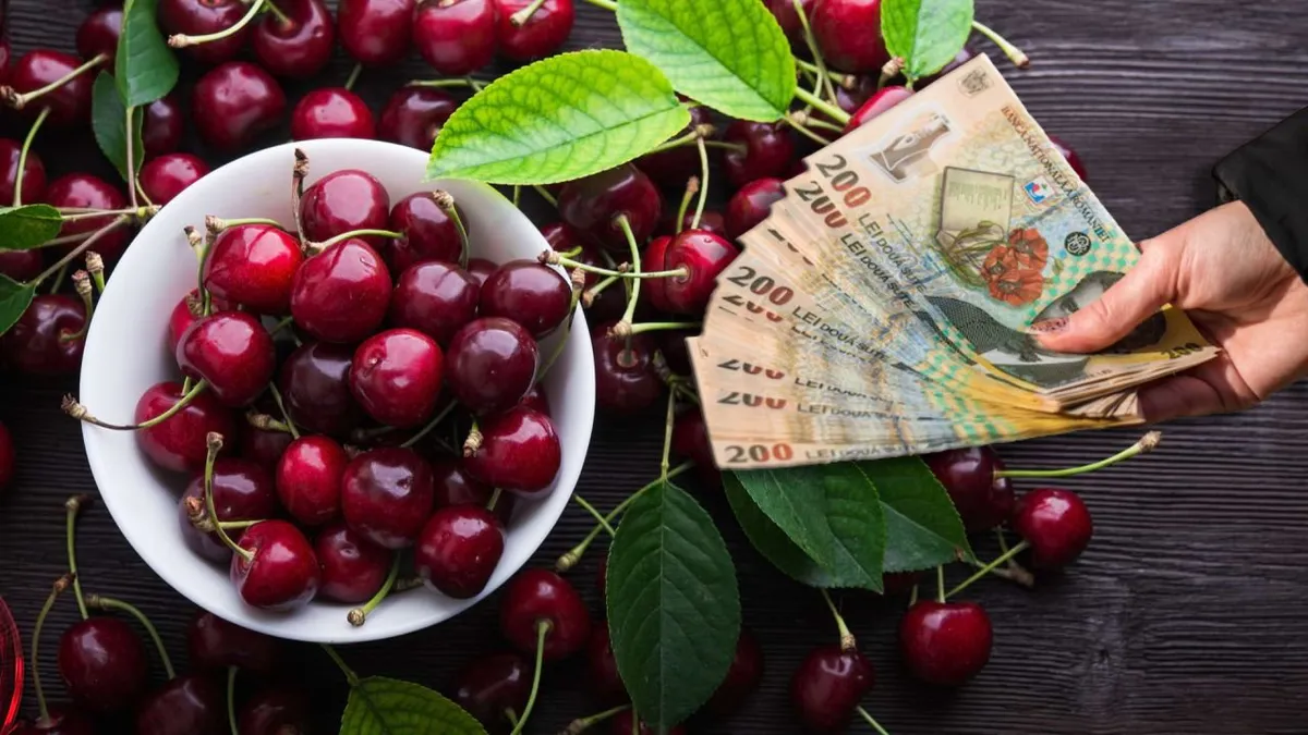 Primele cireșe au apărut pe tarabele piețelor din România. Cât au ajuns să coste în 2024? Prețul este colosal!