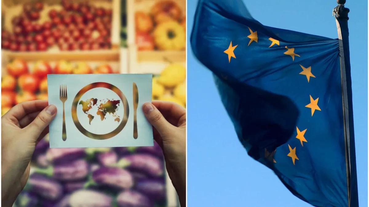 Care ar fi soluțiile pentru criza alimentară globală din 2024-2025. Simulare la nivel european