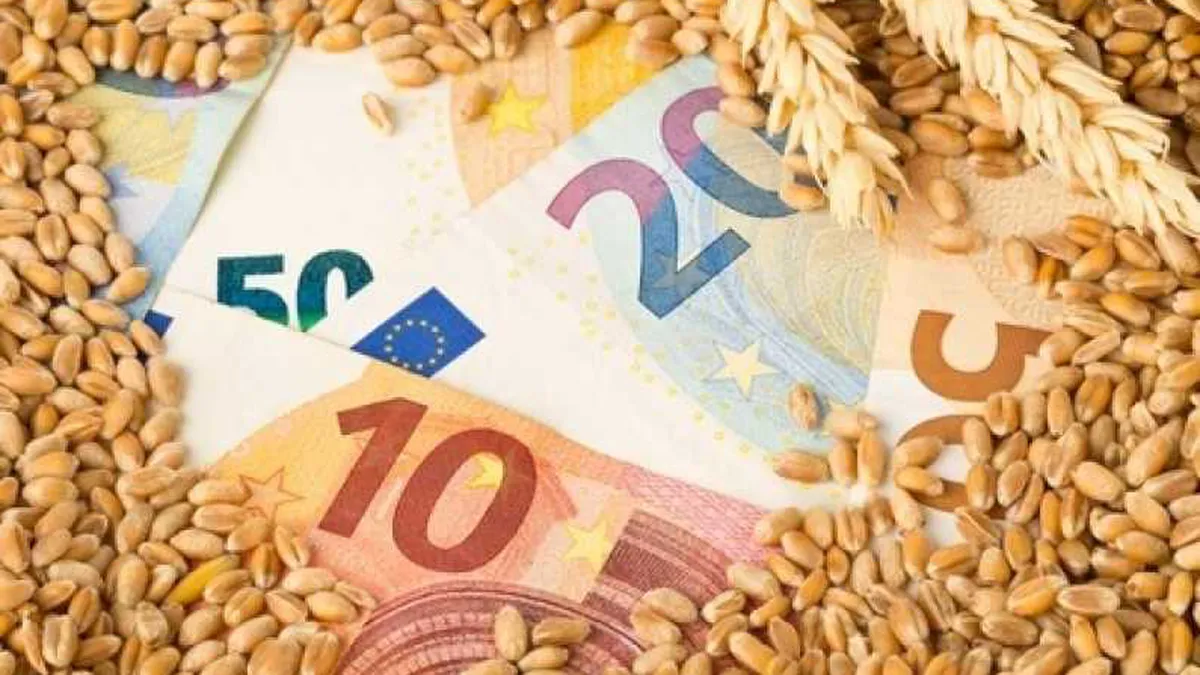 Ce îi aşteaptă pe fermieri în 2024 şi de ce s-a prăbuşit preţul cerealelor. Specialist: Trebuie să ne întoarcem la origini