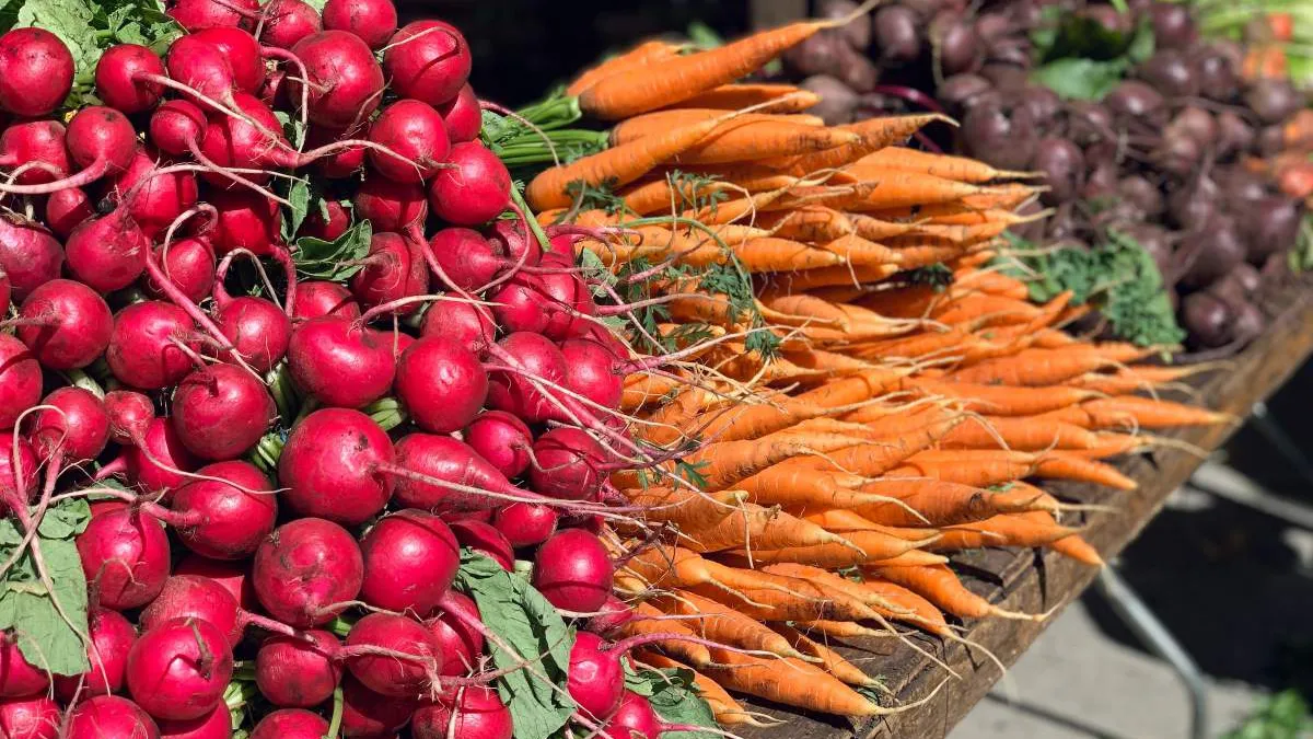 Ridichile românești, vândute la preț dublu în Ucraina! Doi români au dat lovitura cu afacerea legumelor. ”Ai noștri ne dau undeva la jumătate, foarte puțin”