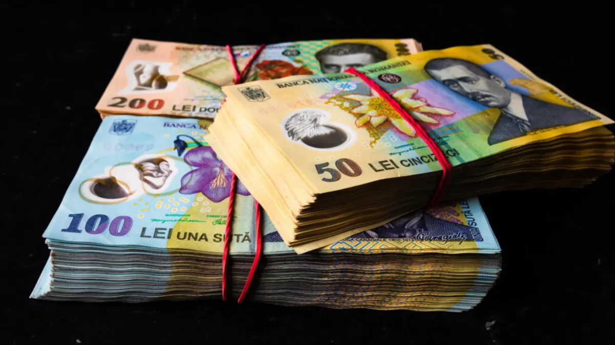 Decizia luată de Guvern. 1.000 de lei, bani de la stat pentru cei care îndeplinesc o anumită condiție