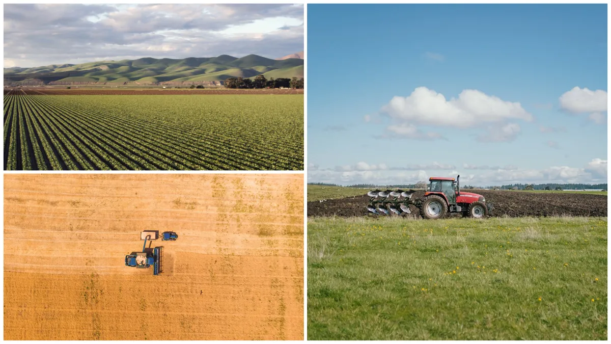 Timiş, în topul judeţelor cu potenţial agricol ridicat. Care sunt avantajele care îi atrag pe investitori aici