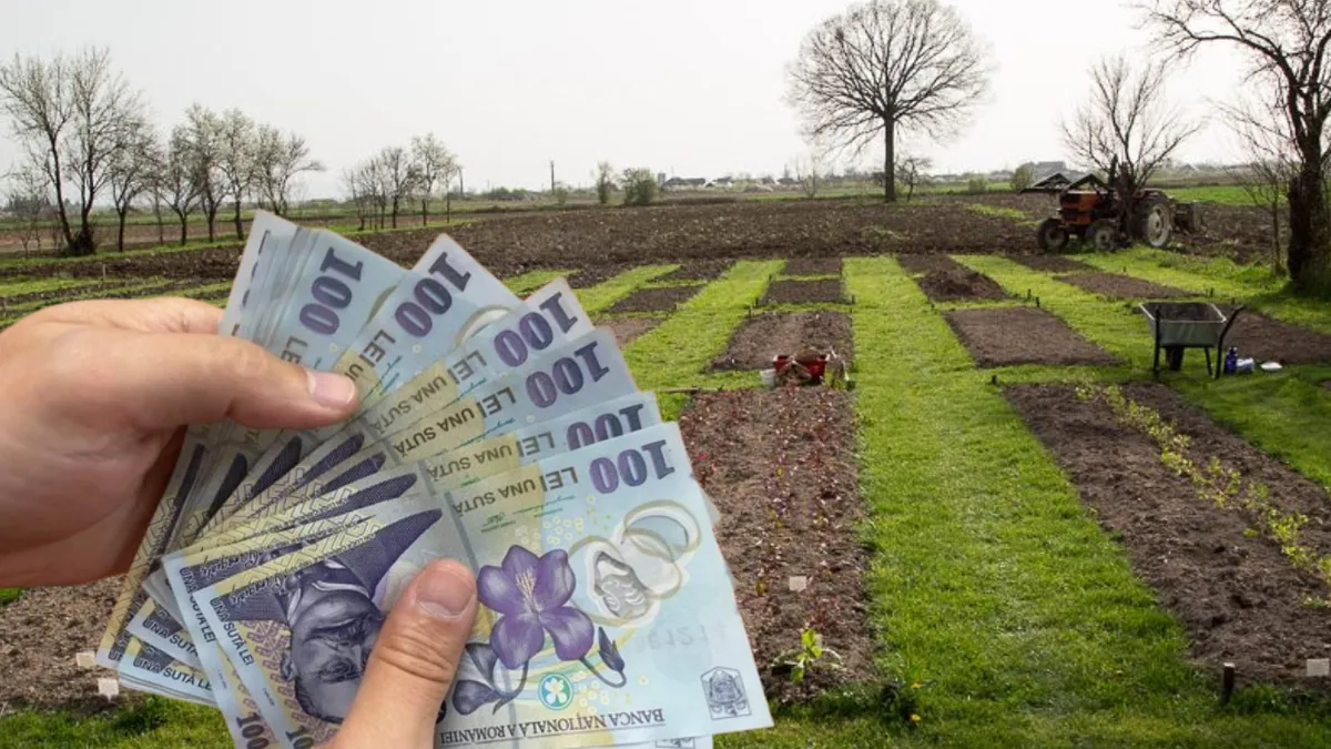 Idei de afaceri în 2024. Cum faci bani dintr-o grădină la țară, în timpul liber