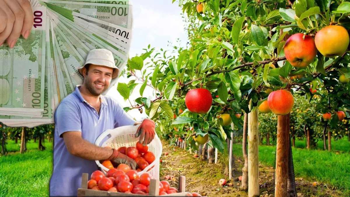 Anunțul momentului: Fermierii pot primi finanțări de 1,5 milioane de euro de la AFIR. Până când se pot depune cererile
