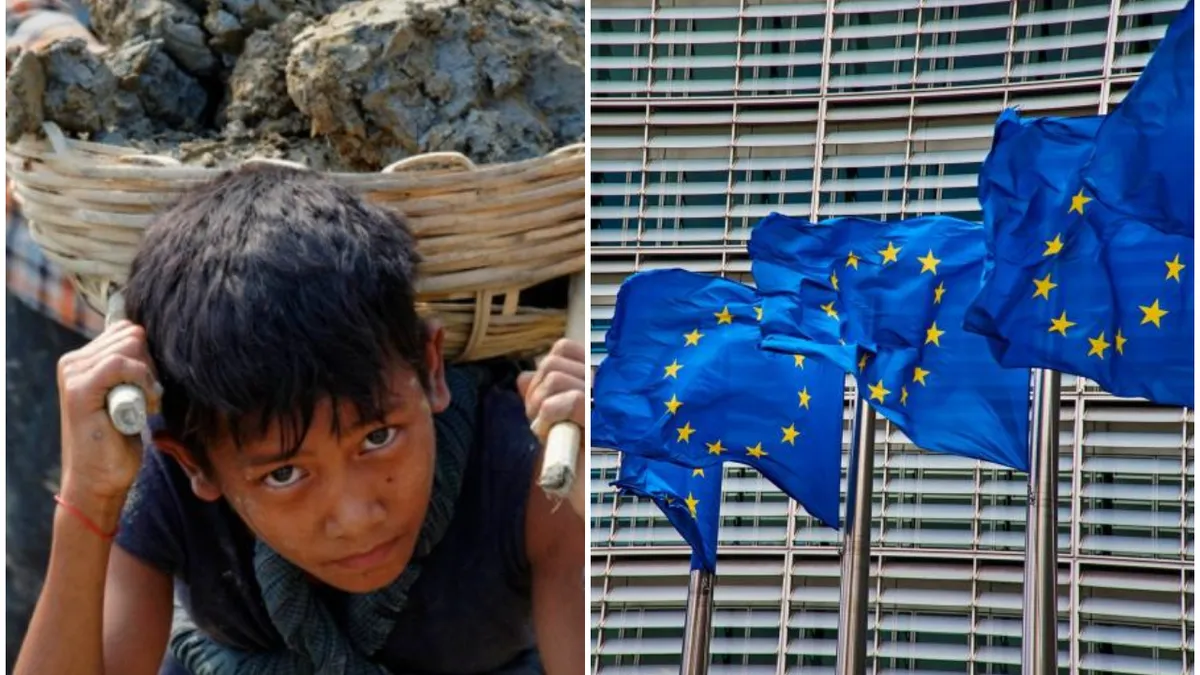 Produsele fabricate prin muncă forțată, complet interzise în UE. Parlamentul European a decis