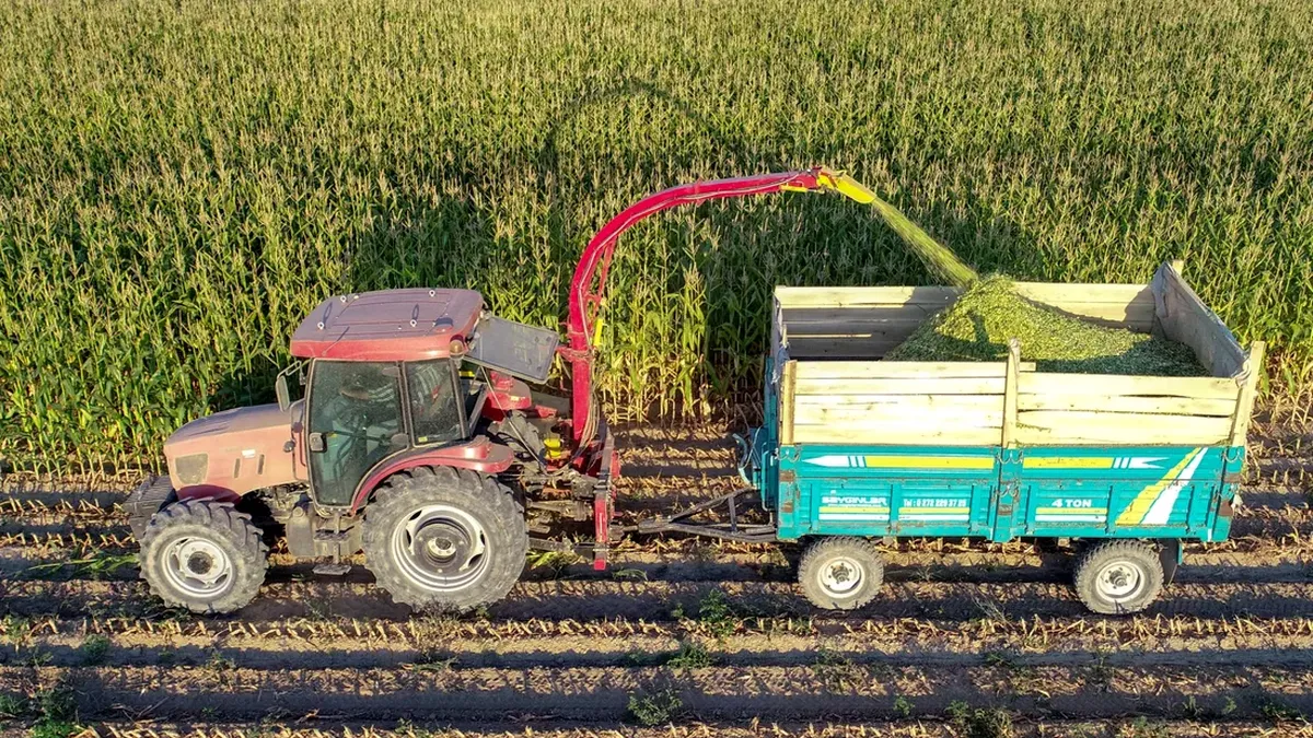 Schimbări majore în regulile privind arendarea terenurilor: Ce trebuie să ştie proprietarii şi arendaşii