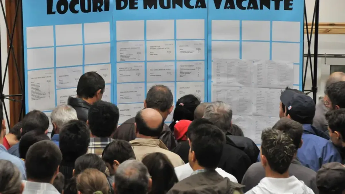 Veste bună pentru români! Apar peste 100.000 de locuri de muncă noi. În ce domenii se caută angajați pe bandă