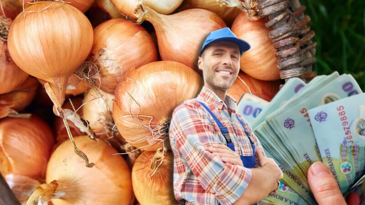 O nouă subvenție pentru fermierii români! Ce plan are ministrul Agriculturii