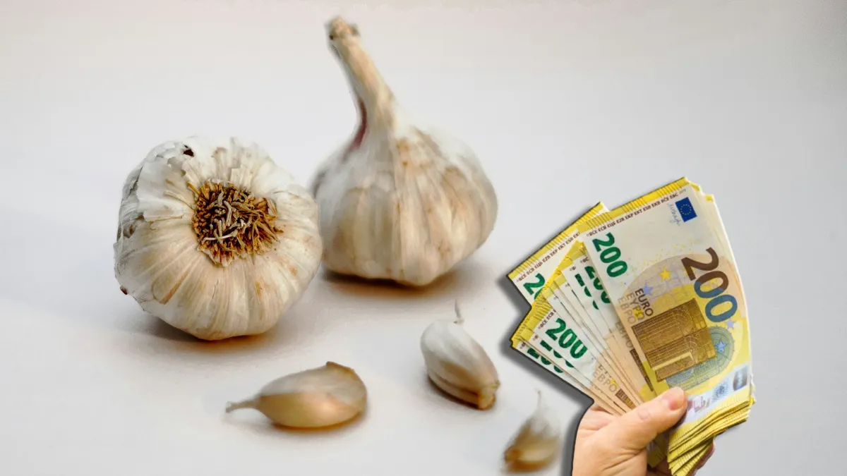 Evaziune fiscală în afaceri cu usturoi. Schema folosită de doi români pentru o înșelăciune din Spania